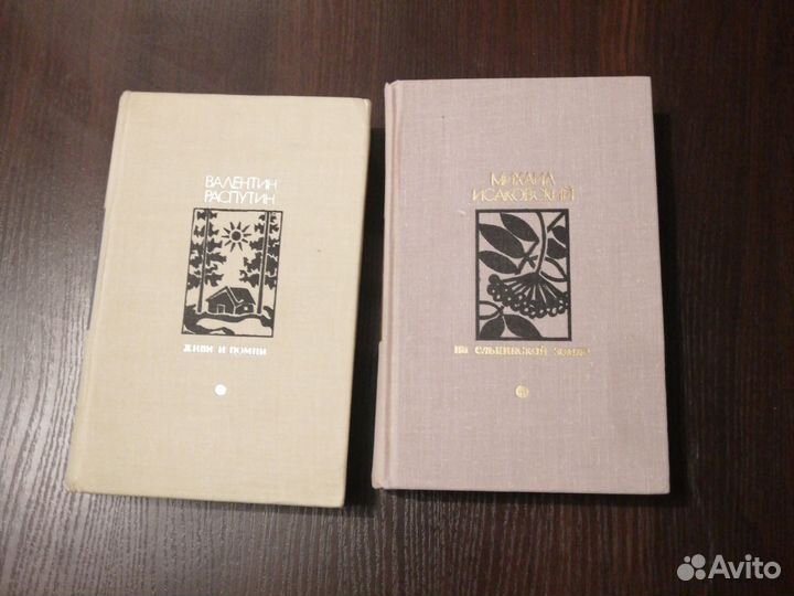 Библиотека зарубежной классики и Дружбы народов