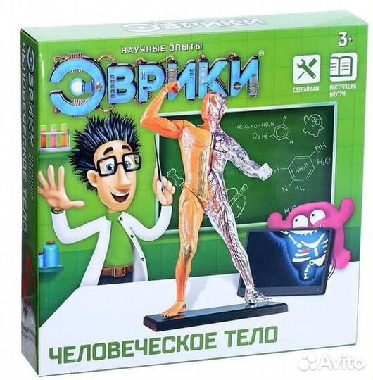 Научный опыт «Человеческое тело»