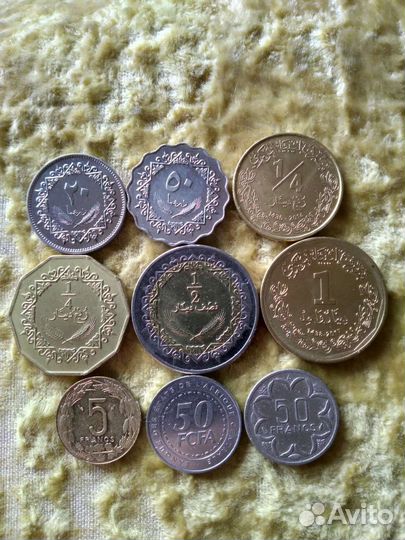Монеты Африки 1 часть