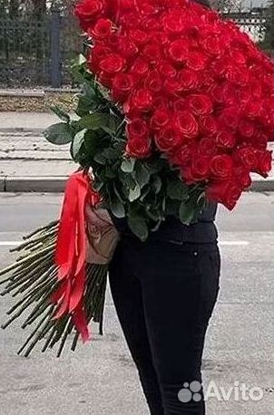 Цветы розы букеты 25 31 35 51 101 251 Доставка