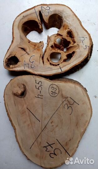 Спилы карагача сухие