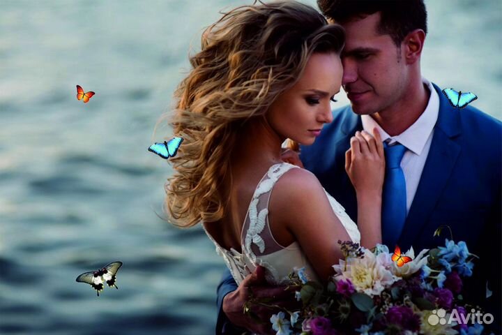 Салют из Живых Тропических Бабочек с/б-21