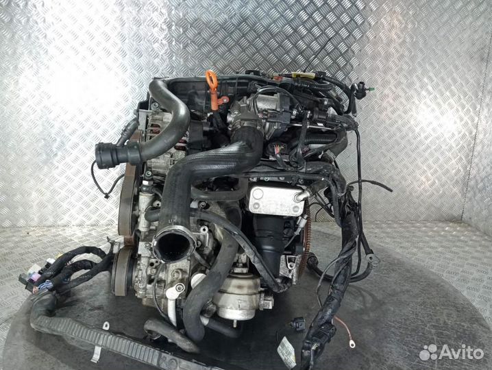 Двигатель Audi A4/RS4/S4