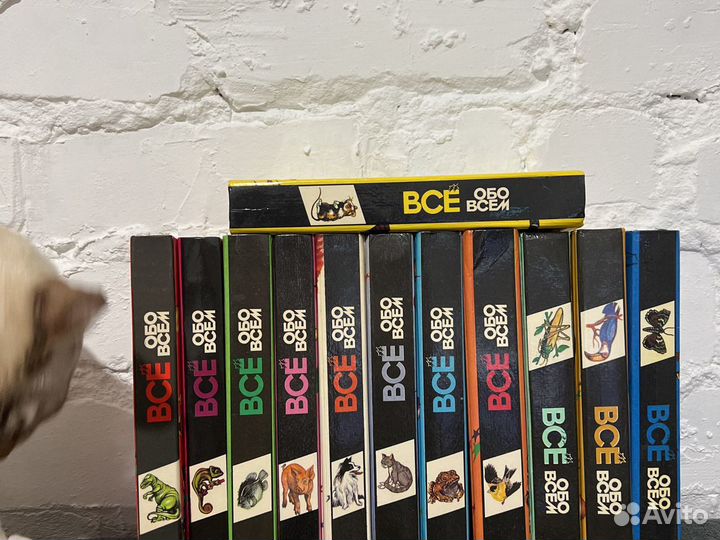 Все обо всем