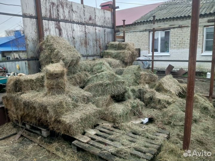 Сено в тюках