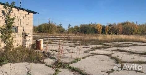 ООО с лицензией на утилизацию