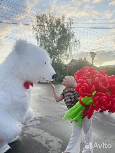 Белый мишка поздравление в Туле