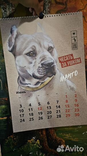 Календарь с питбулями