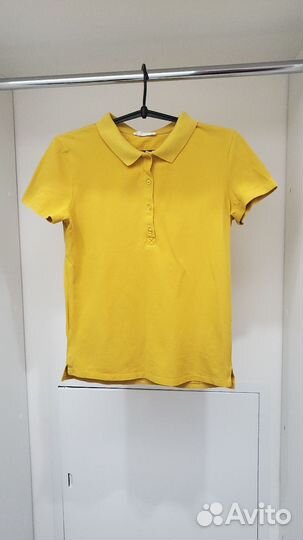 Поло Terranova М