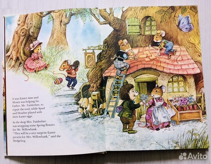 В папоротниковой низине, 1994, Пейшенс