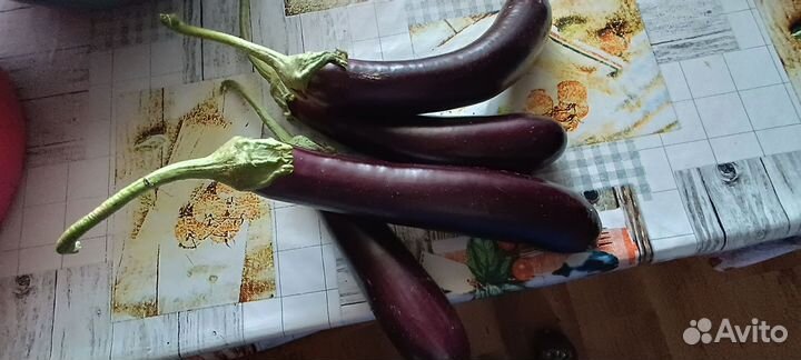 Помидор баклажаны перец чеснок