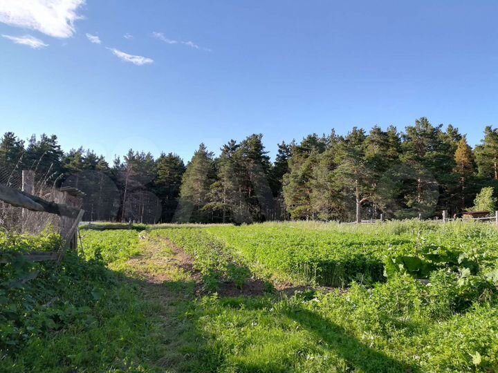 Дом 48,2 м² на участке 20 сот.