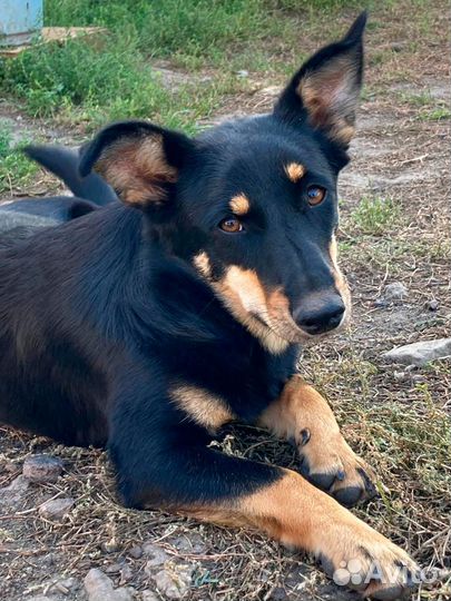 От сердца к сердцу