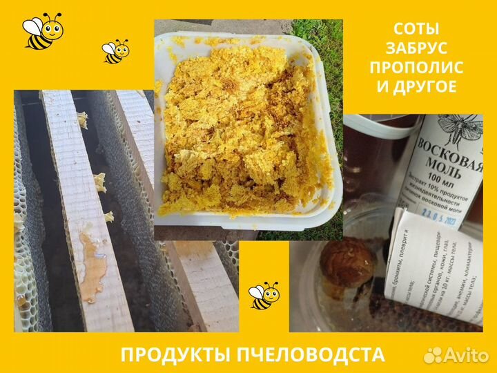 Мёд с пасеки Луговой