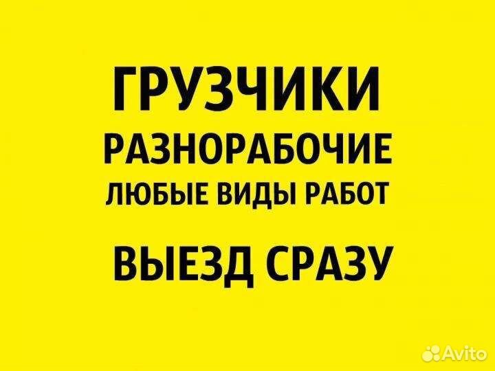 Грузчики/разнарабочие/на час в день