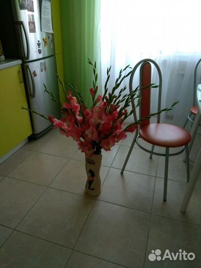 Гладиолусы