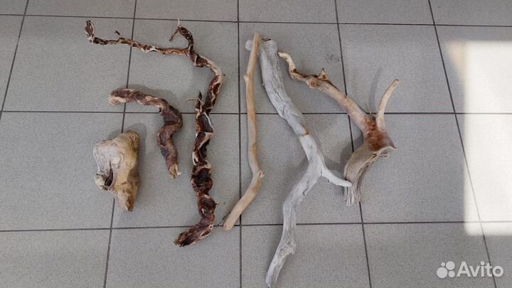 Коряги для террариума дрифтвуд