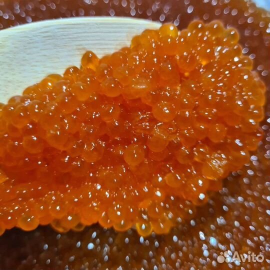 Красная икра