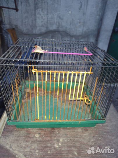 Клетка для грызунов
