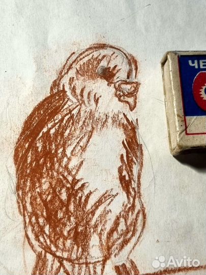 Эскиз рисунок