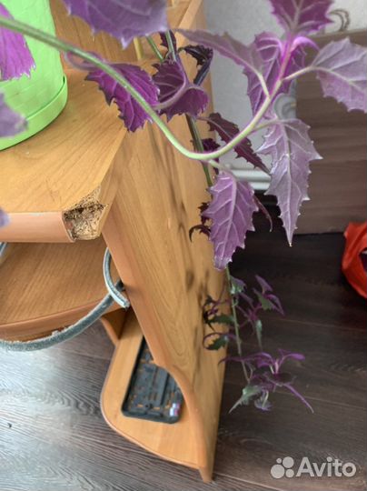 Компьютерный стол даром