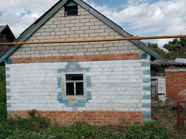 Дом 55 м² на участке 45 сот.