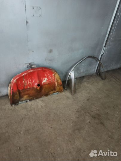 Рысь тайга буран