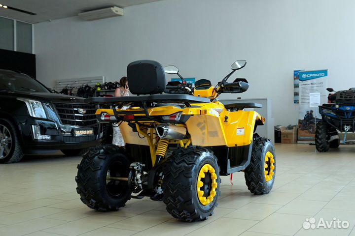 Avantis hunter 200 BIG LUX