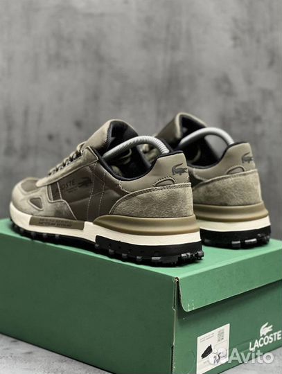 Кроссовки Lacoste premium