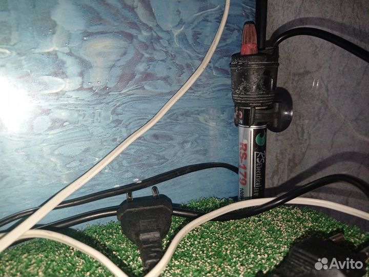 Аквариум для красноухой черепахи