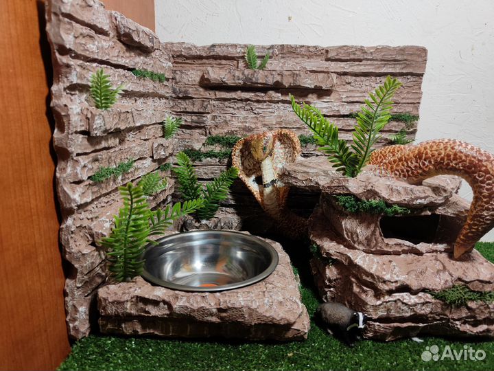 Фон,укрытия для террариума