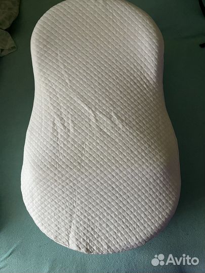 Кокон зевушка