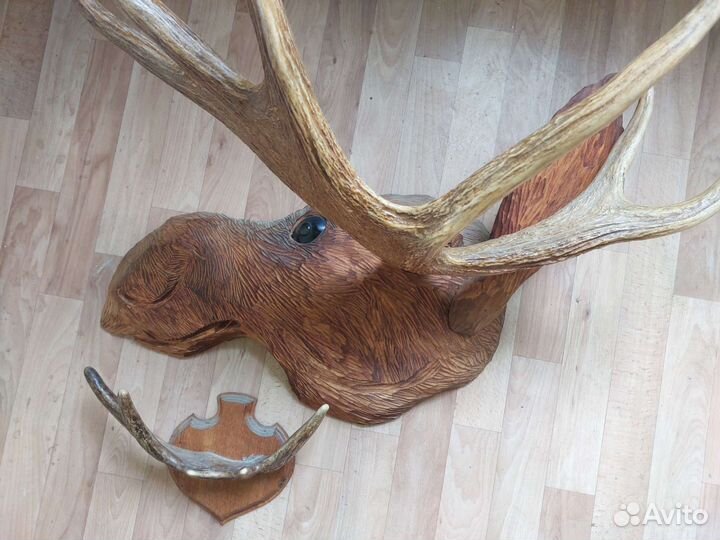 Рога лося