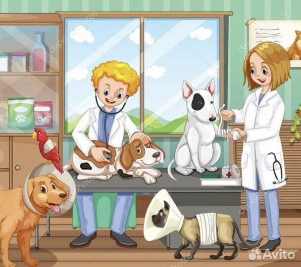 Готовый бизнес ветеринарная клиника