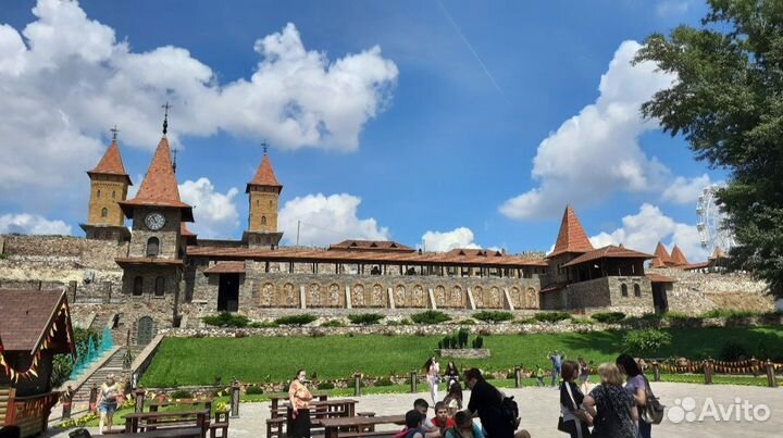 Поездки в парк Галицкого и Лога