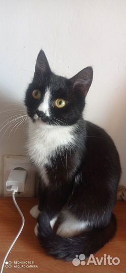 Ливана ждёт дом