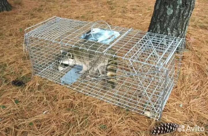Клетка-кошколовка