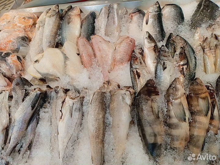 Свежемороженная рыба