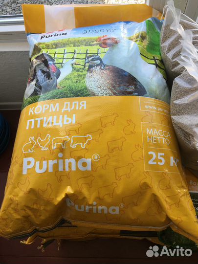 Корма для с/х животных