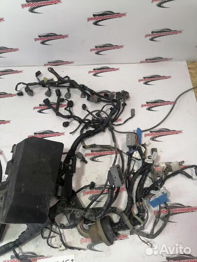 Проводка (коса) Mazda 6 2.0 GH