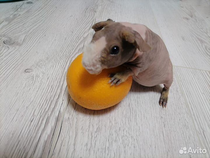 Мальчик Скинни