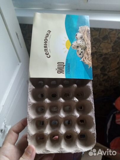 Лотки для яиц