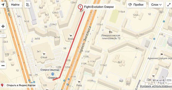 Капа боксерская