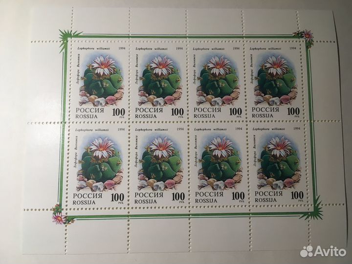 Марки 1994 год, Кактусы, 2 малых листа