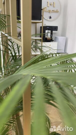 Аренда рабочего места бровист визажист