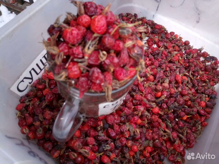 Чага, шиповник, травы