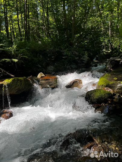 VIP Тур по Красной Поляне