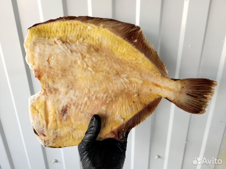 Морская рыба и морепродукты