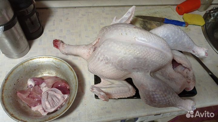 Мясо домашней индейки