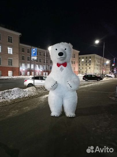 Белый медведь аниматор